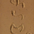 R0011252 resize