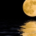 moonlightq