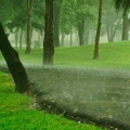 รูป2