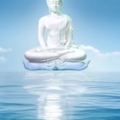 Buddaonsea