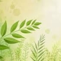 images (1)