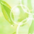 Photo manipulation of 01 Human and Green 067 Greeny Nature