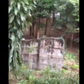 ถังน้ำ