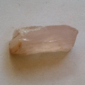 pp20