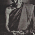 IMG (1)