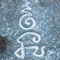 33
