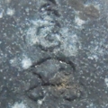 88