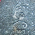 77