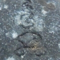 88
