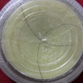 สีผึ้ง หลัง