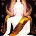 ภาพจำลองเสมือนจริง