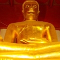 DSC02638