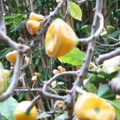 IMG 5860
