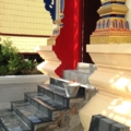 IMG 0918