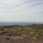 Untitled Panorama1   Copy   Copy
