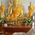 DSCN2665