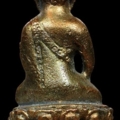 S  24444954