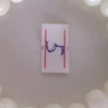 5557ppp5