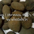 10704147 337844913063461 6724400924027343516 nplj