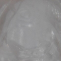 P6204234