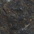 DSCF2278