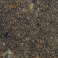 DSCF2279