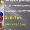 นามบัตรพ