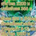 13672224 981930948588398 481000780 nr