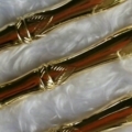 1472119556862 crop 459x415