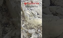 สุสานโบราณใต้โรงเรียนร้าง กาญจนบุรี
