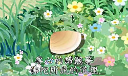 蛤蟆忉利天王